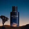 Dior Sauvage Eau de Parfum 100ml